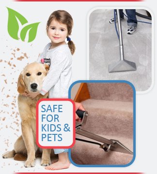 Safe For Kids & pets